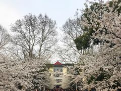 -南京林业大学-图书馆