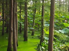 -云龙湖旅游景区