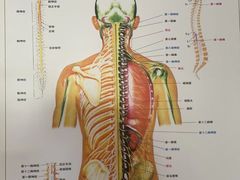 -张钰强中医正骨推拿连锁(华发商都店)