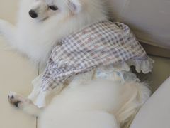 -怪兽屋·羊驼·猫咖·狗咖(俊华广场店)