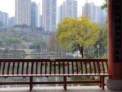 -重庆彩云湖湿地公园