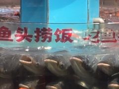 -魏铭鱼头捞饭(晋阳路店)