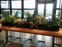 -Bco豆库(星耀天地店)