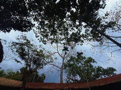 -海南槟榔谷黎苗文化旅游区