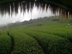 -优游吧斯邹族文化部落