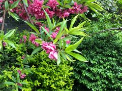 -西安华清御汤酒店