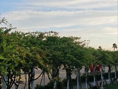 -碧海金沙