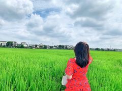 -桤木河湿地公园