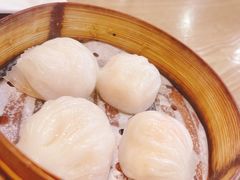 -点点心港式茶餐厅(南京西路店)