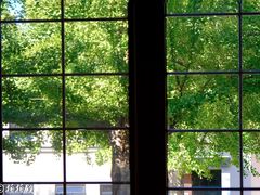 -天正河鲀·河豚亭(大连店)