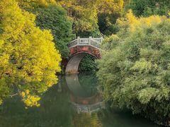 -八大山人梅湖景区