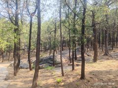 -泰山风景名胜区-普照寺