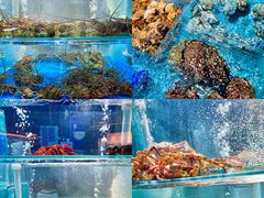 -1718海鲜姿造(苏宁宴请臻选店)