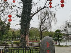 -映月湖公园