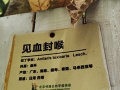 -呀路古热带植物园