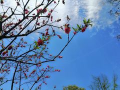-常德桃花源景区