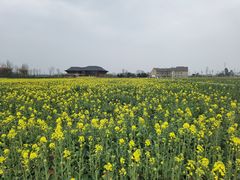 -中国天府农业博览园