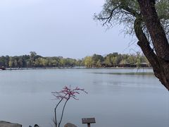 -承德避暑山庄景区