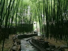 -竹泉村旅游度假区