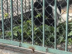 -秦皇岛野生动物园