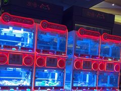 -极乐汤(川沙店)