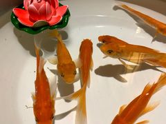 -小龙坎火锅(湖滨银泰in77店)