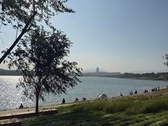 -永定河休闲森林公园
