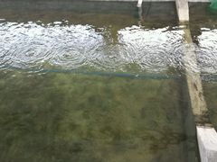 android_upload_pic-小象钓虾·营地烧烤(洛溪店)