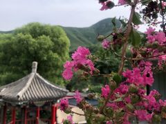 -双新垂钓园