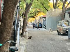 -丽江庭院·云南野生菌·海鲜火锅(鼓楼四合院店)