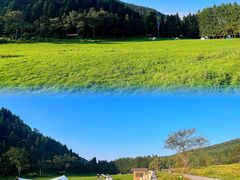 -武陵山森林公园