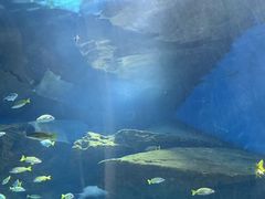 -海合安武汉极地海洋公园