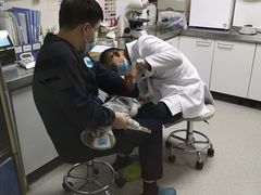 -喜多萌中农锦绣动物医院24H·猫科·牙科MRI·CT