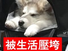 -青春分食(仙林大学城店)
