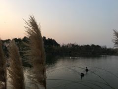 -上海怡沁园度假酒店