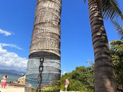 -三亚蜈支洲岛旅游区