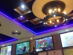-新概念来凤鱼(璧山店)