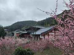 -雪峰寺