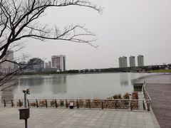 -映月湖中央公园
