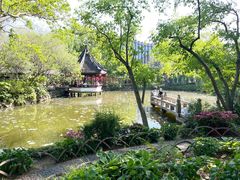-上海醉白池公园