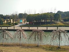 -白塘生态植物园