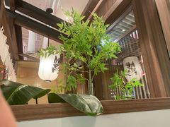 -沼津港精致料理·寿喜烧·烧鸟(漕河泾印象城店)