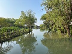-长兴太湖图影湿地文化园
