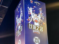 -南京奥林匹克体育中心-体育馆