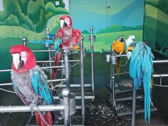 -西安秦岭野生动物园