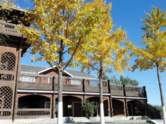 -永定河休闲森林公园