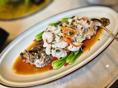 鲜活东海黄鱼-潮粤香海鲜酒楼(沙湖店)