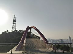 -金鸡山公园