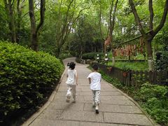 -天目湖山水园
