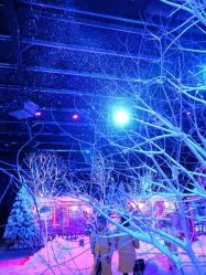 -圣名游乐城冰雪大世界